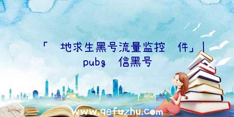 「绝地求生黑号流量监控软件」|pubg红信黑号